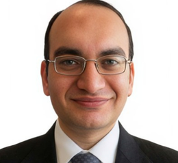 Osama Abdelaziz Ahmed Radwan