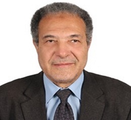 Ahmad G Hegazi